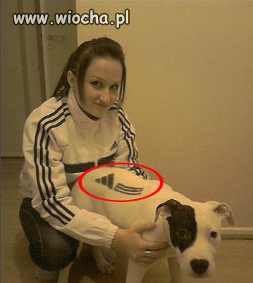 Wielbicielka adidasa...