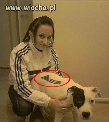 Wielbicielka adidasa...