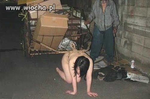 Równouprawnienie