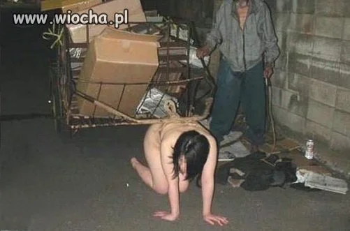 Równouprawnienie