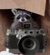 FOTOSZOP