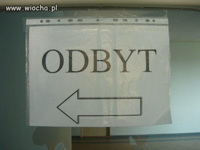 Wejście w wielkim stylu