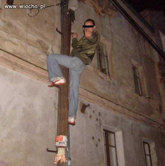 Takie tam na słupie napięcia...
