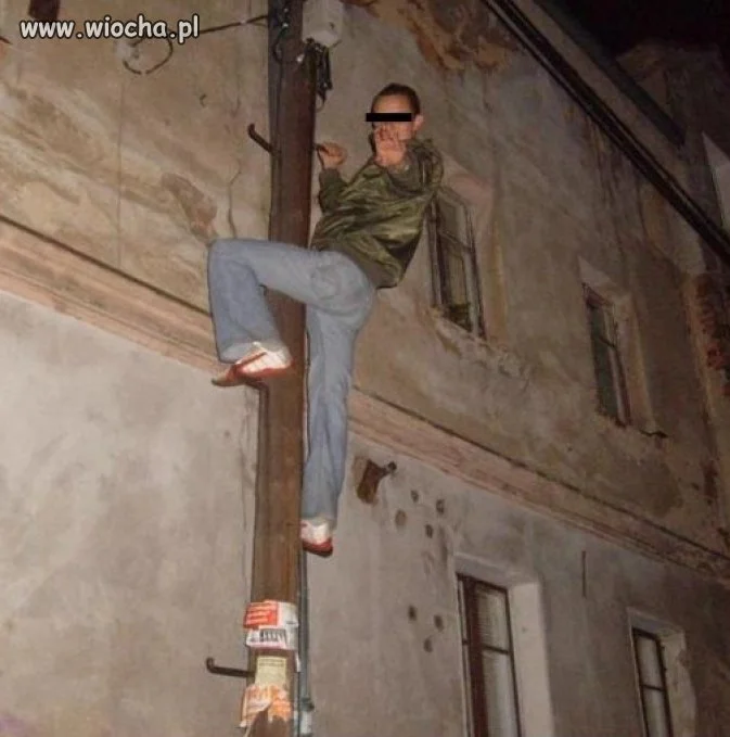 Takie tam na słupie napięcia...