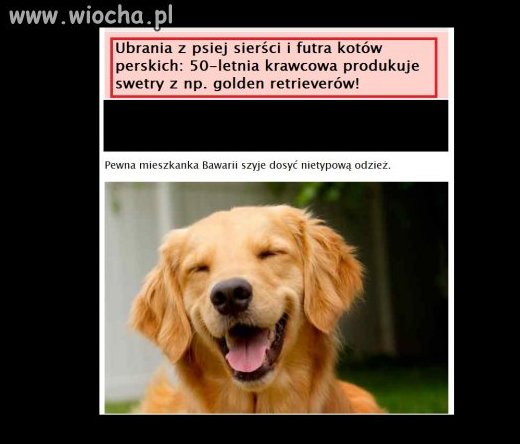 Jak można tak krzywdzić zwierzęta?!