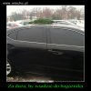 To chyba nawet sztuczna 