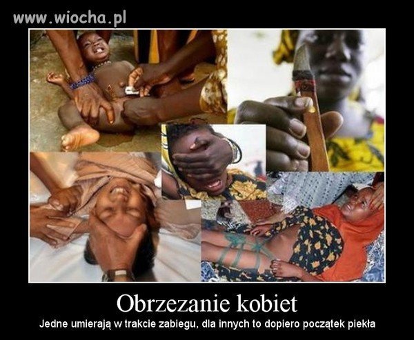 Prawdziwa wiocha, przez którą cierpią...