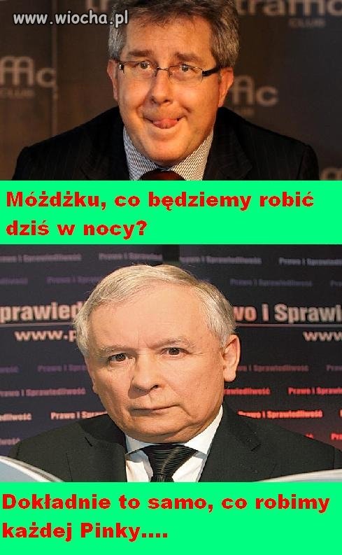 Kot zdechł?