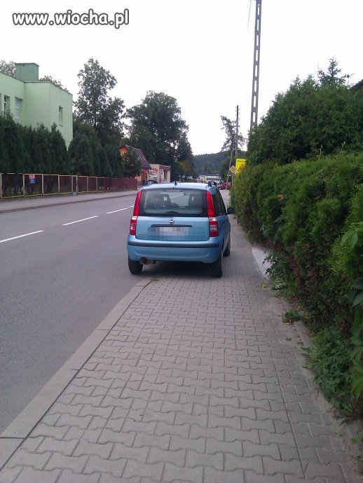 Mistrz parkowaia
