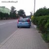 Mistrz parkowaia