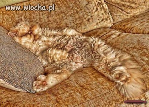 Widzisz mnie ??