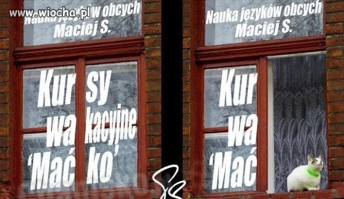 Kursy wakacyjne i 
