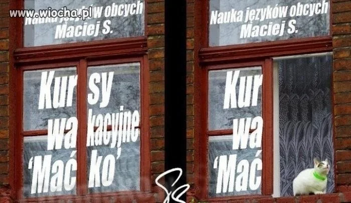 Kursy wakacyjne i 