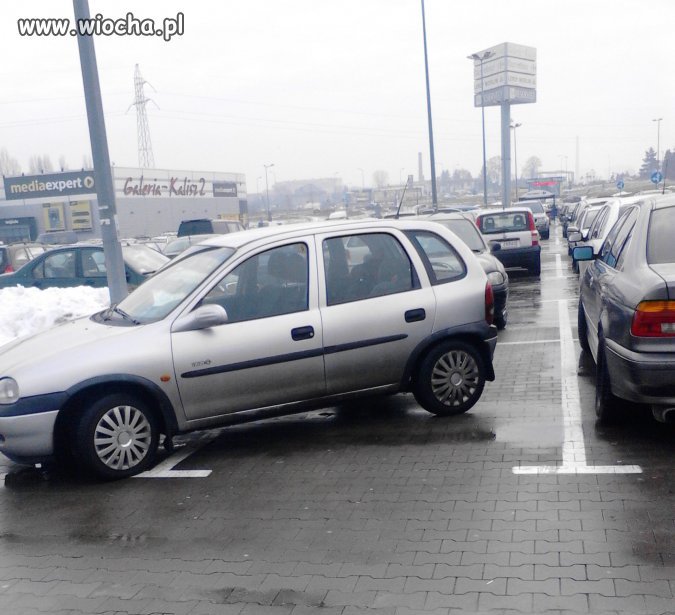 Gorączka zakupów