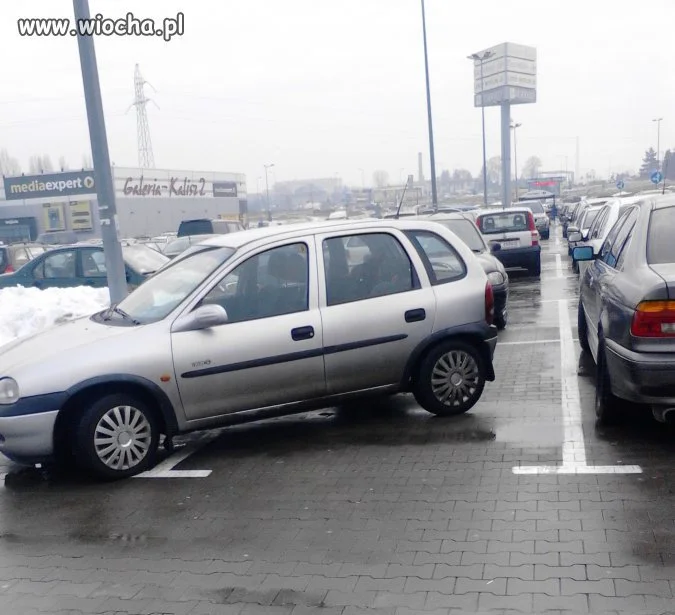 Gorączka zakupów
