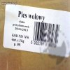 Pies wołowy