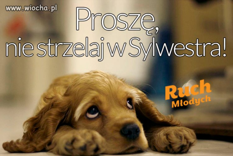 Proszę