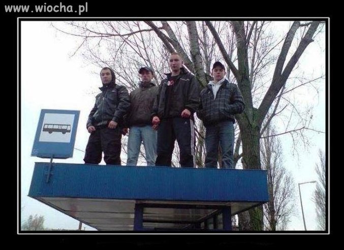 Demolka men.