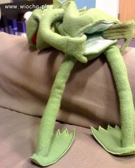 Kermit żaba pozdrawia administracje
