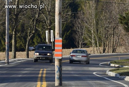 To już nie mieli gdzie go postawić 