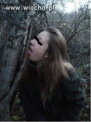 Takie tam z drzewem 