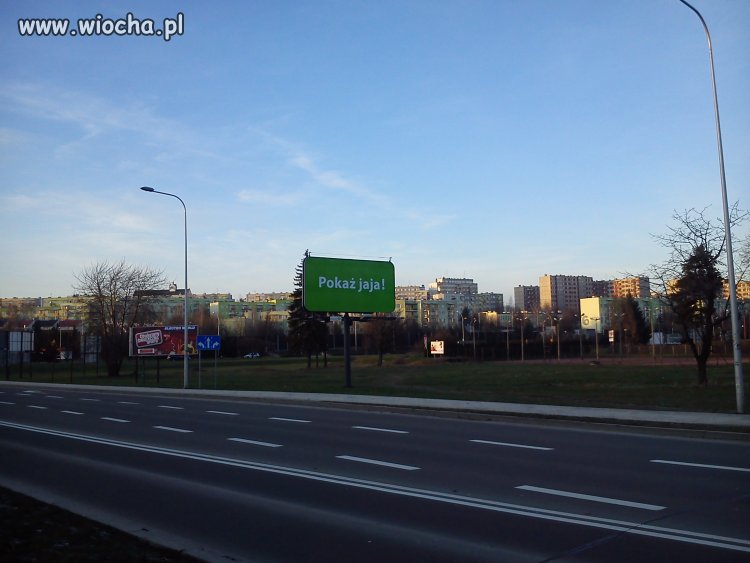Pokaż jaja 