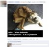 Nic mu nie pomoże jak dam lajka albo udostępnie 