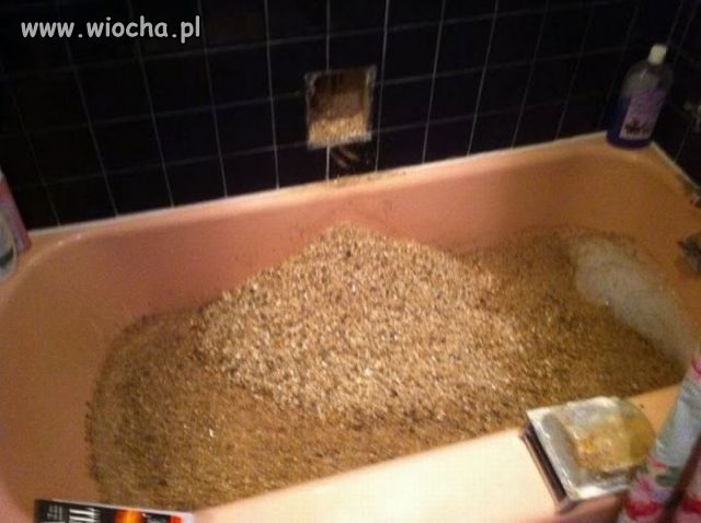 Pamiętaj
