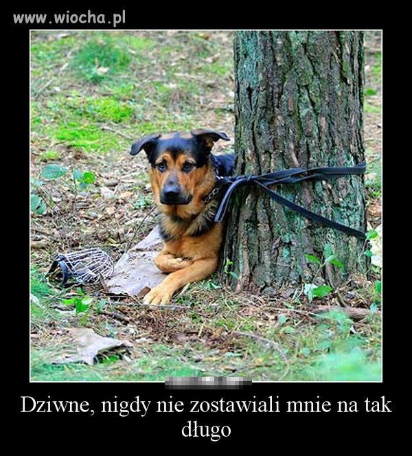 Jak tak można...