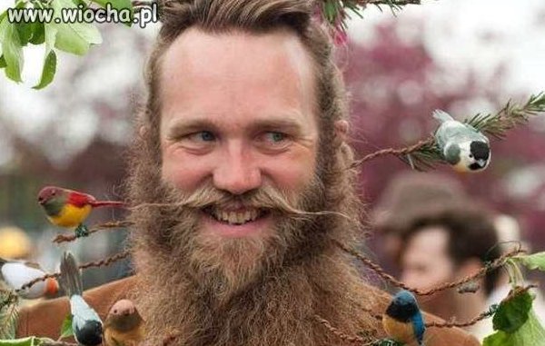 Epicka broda
