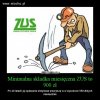 ZUS...