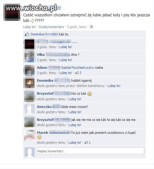 Kto lubi psy i koty ???