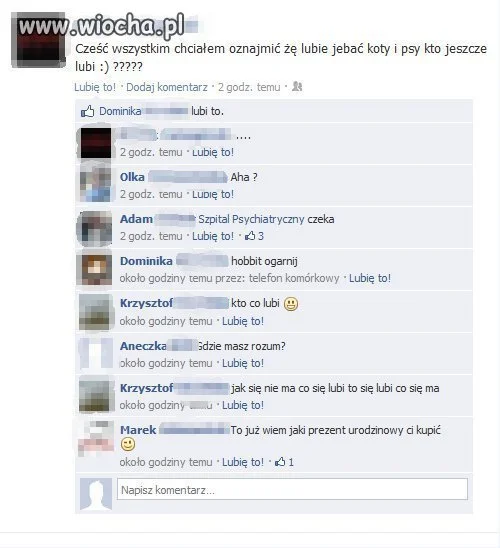 Kto lubi psy i koty ???