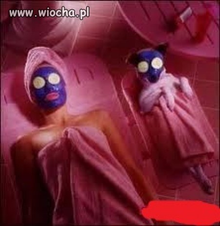 Też tak dbasz o swojego pupila?