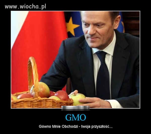 Gmo   