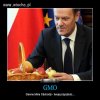 Gmo   