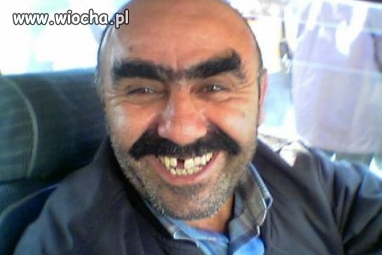 Jednobrwiowy cygan atakuje