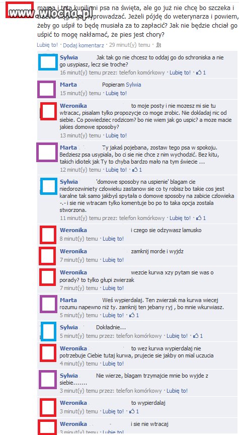 Idiotce znudził się pies...