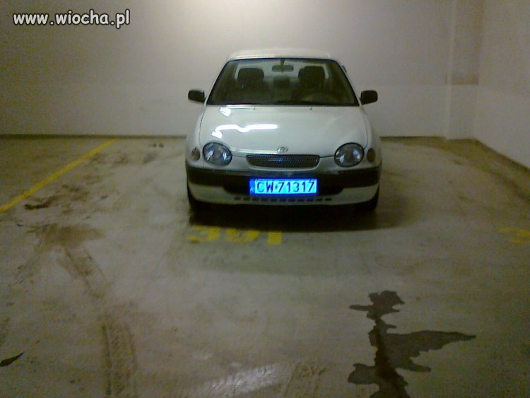 Mistrz parkowania