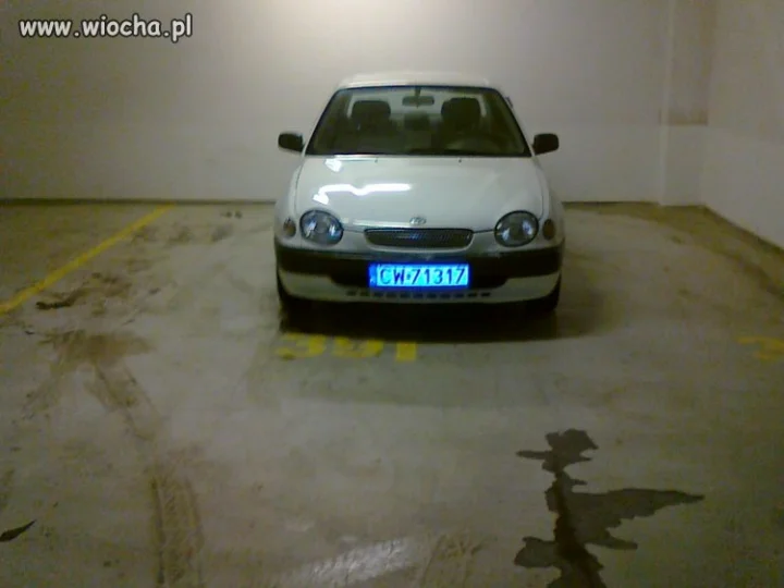 Mistrz parkowania