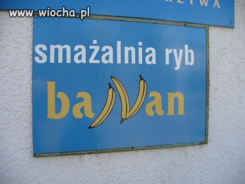 Egzotyka 