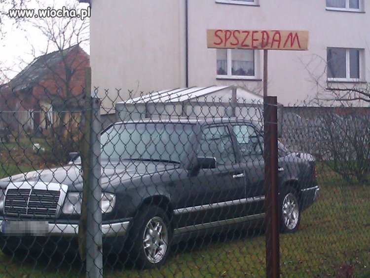 "Miszcz" 