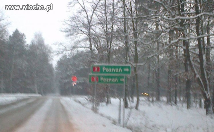 Absurdy polskich dróg...