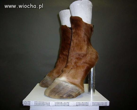 Moda XXI wieku ...
