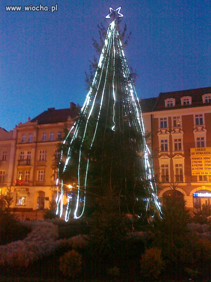 Choinka... Kalisz