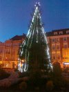 Choinka... Kalisz