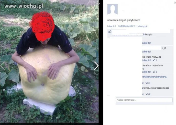 Z dynią tego jeszcze nie było