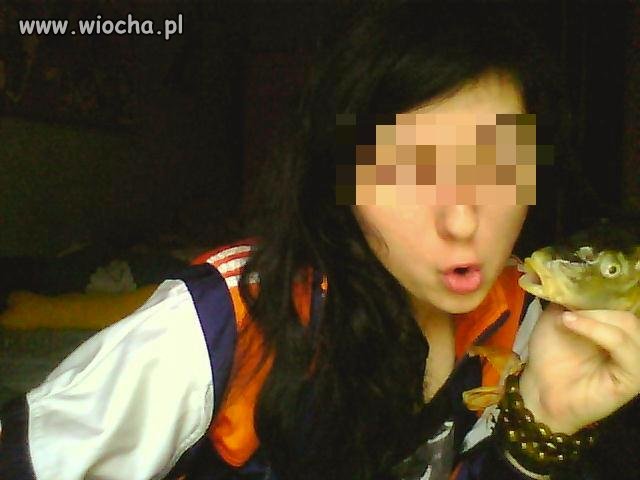 Nowa moda