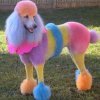 Głupota ludzka nie zna granic