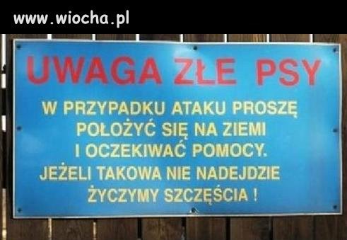 Może się poszczęści i pieskom się znudzi?